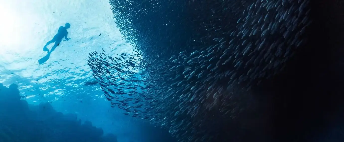Napaling Reef